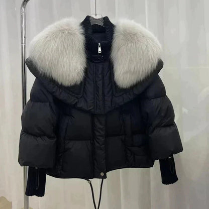Elegant Winter Jacket Women Plain Stylish