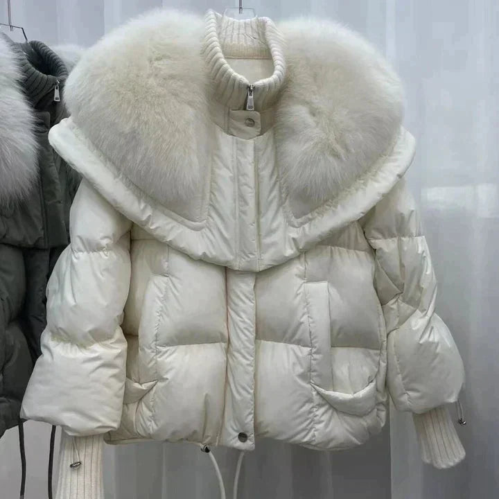 Elegant Winter Jacket Women Plain Stylish