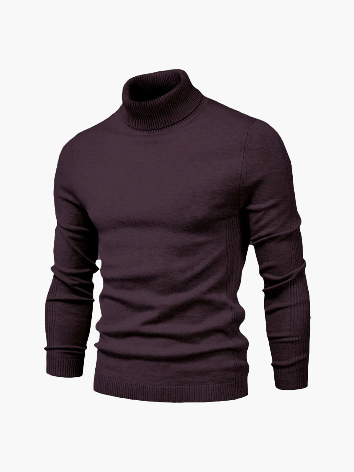 Elegant Turtleneck Sweaters for Women Business Modern