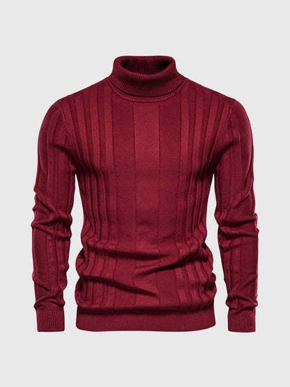 Striped Turtleneck Sweater for Men