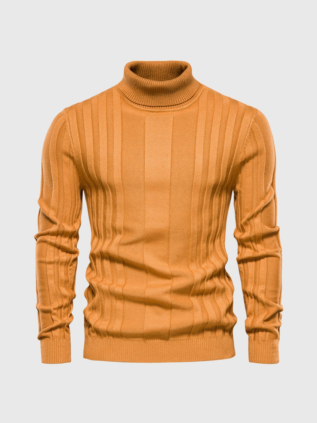 Striped Turtleneck Sweater for Men