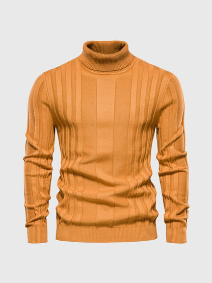 Striped Turtleneck Sweater for Men