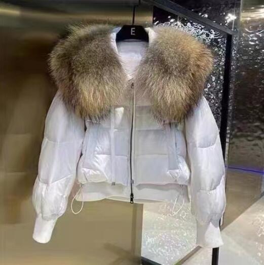 Women's Stylish Warm Puffer Jacket