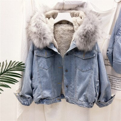 Women's Winter Jacket Denim Stylish & Warm