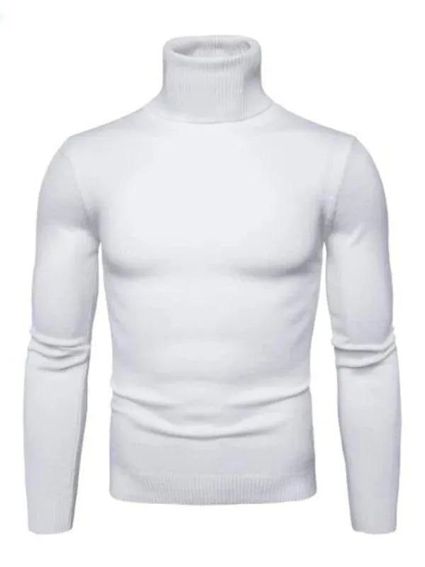Men's Warm Chunky Knit Turtleneck Sweater