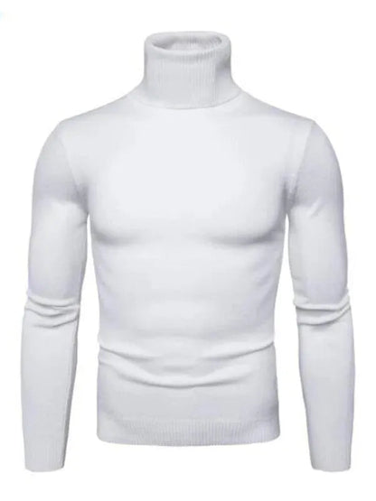Men's Warm Chunky Knit Turtleneck Sweater